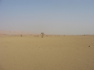 Niger 267