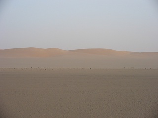 Niger 273