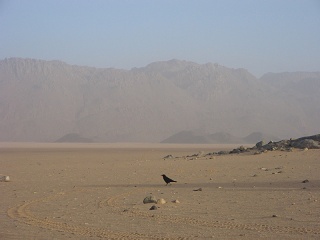Niger 274