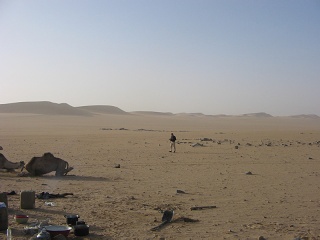 Niger 275