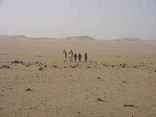 Niger 277