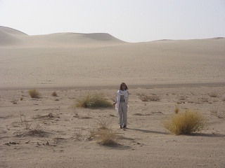 Niger 281
