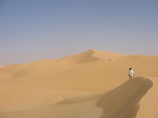Niger 289