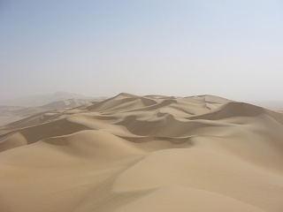 Niger 290