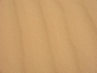Niger 291
