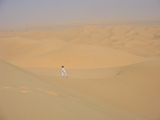 Niger 294