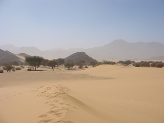 Niger 300