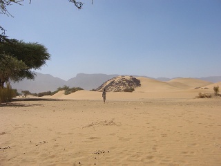 Niger 301