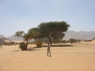 Niger 302