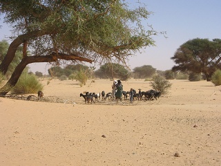 Niger 308