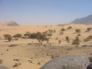 Niger 312