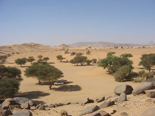 Niger 313