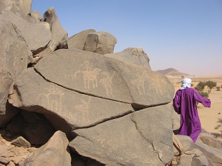 Niger 314