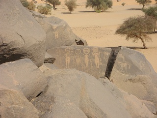 Niger 315