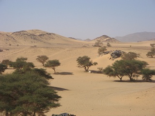 Niger 316