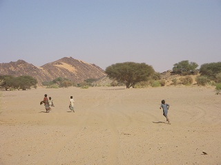 Niger 320