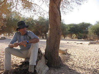 Niger 321