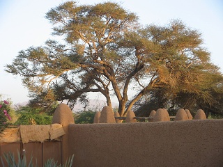 Niger 325