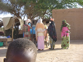 Niger 341