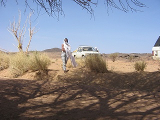 Niger 352