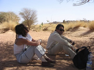 Niger 354