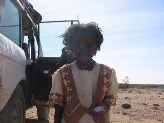 Niger 355