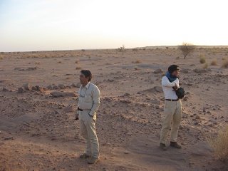 Niger 367