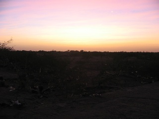 Niger 369