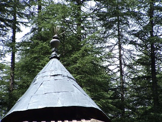 DSCF0051