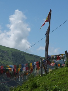 DSCF0054