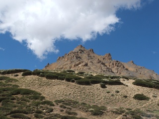 DSCF0067