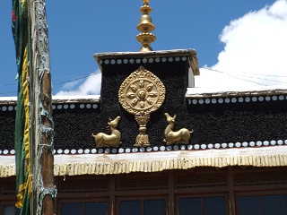 DSCF0081