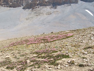 DSCF0135