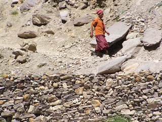 DSCF0151