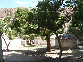 DSCF0184