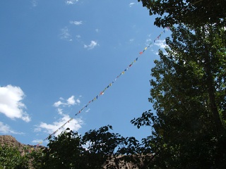DSCF0185