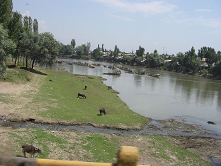 India2005 007