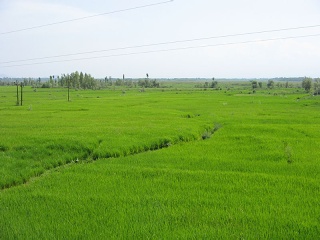 India2005 008