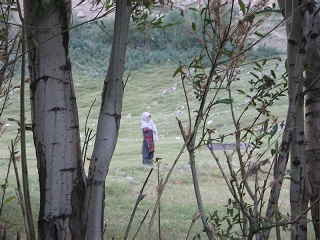 India2005 112