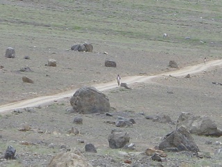 India2005 174