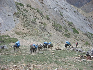India2005 209