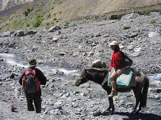 India2005 254