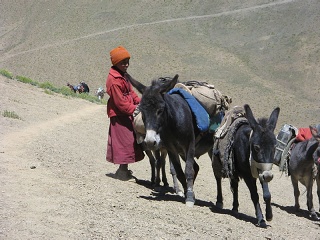 India2005 262