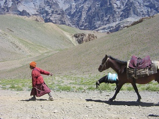 India2005 263