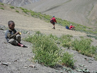 India2005 264