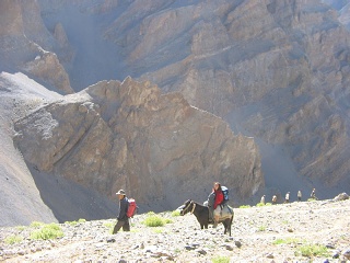 India2005 276