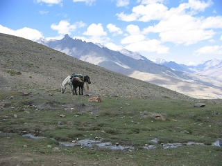 India2005 292