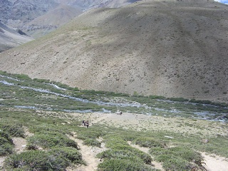 India2005 298