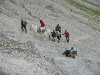 India2005 342