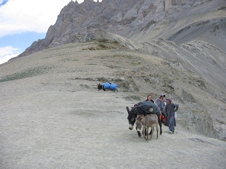 India2005 345